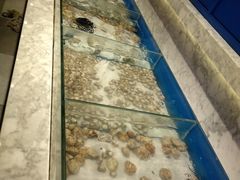 -火锅岛潮牌自助餐厅(天津天佑城店)