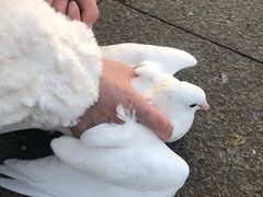 -玄武湖景区-情侣园游乐场