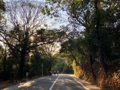 -梧桐山风景名胜区