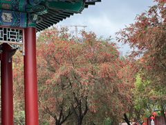 -珠海圆明新园