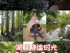 -东湖落雁景区
