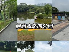 -东莞植物园