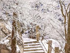 -崂山巨峰游览区