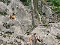 -黔灵山公园