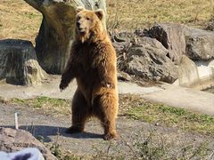 -宁波野生动物园