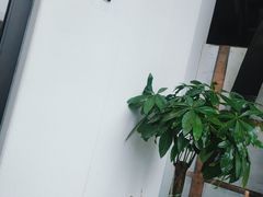 -半坡国际艺术区