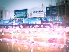 -大连凯洋马术俱乐部有限公司