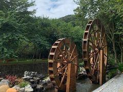 -广州白江湖森林公园