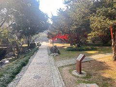 -雨花胜境