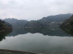 -白鹭湾湿地公园