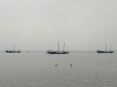 -贡湖湾湿地公园