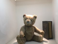 -成都泰迪熊博物馆