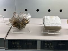 -中国地质博物馆