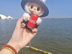 -碧海金沙