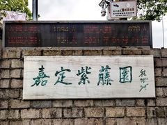 -嘉定紫藤园