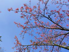 -芒洲湿地公园