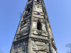 -上海佘山国家森林公园天马山园