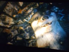 -幸福蓝海国际影城(苏州凤凰店)