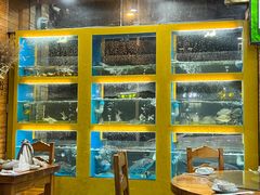 -淳安二十八道·美食汇·淳鱼馆(阳光路店)