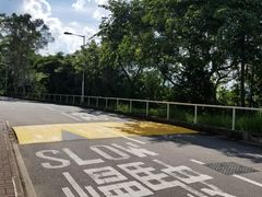 -大埔公路-马料水段香港中文大学(公交站)