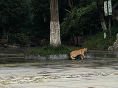 -伯先公园