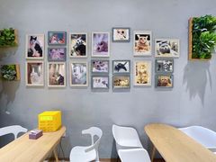 -藏猫猫咖啡主题馆(中央大道店)