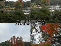 -杭州植物园