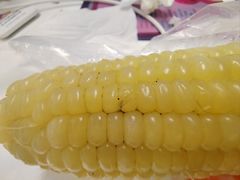 -锦江乐园(地铁站)