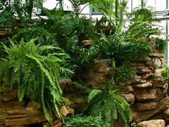 -国家植物园南园