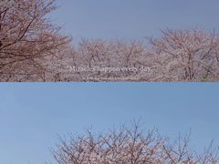 -龙美术馆(西岸馆)