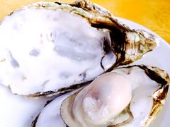 桑拿蚝-蚝专家(北滘店)