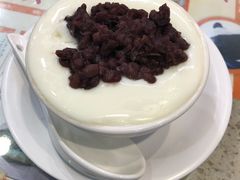 -义顺牛奶公司(新马路老店)