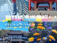 -威海华夏城景区