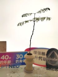 -Fundi张玉珊修身堂·indiba·BTL科技瘦身