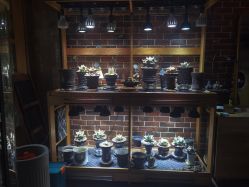 -青木造型HAIR·あおき髪を刈る潮人店