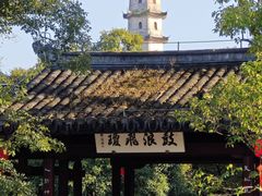 -江心屿景区