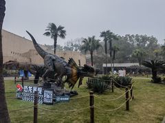 -自贡恐龙博物馆