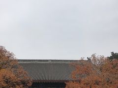 -香山公园-东宫门售票处