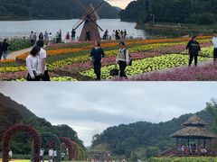 -广州市石门国家森林公园