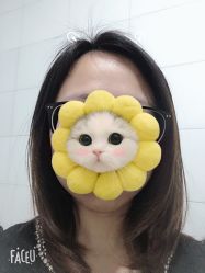 -和木形象