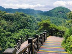 -九鲤湖风景区