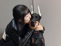 -芭比堂动物医院·犬猫全科·异宠专科(雁塔分院)