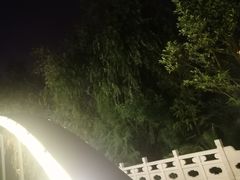-洛龙公园
