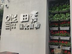 -田素(稻田创业小镇店)