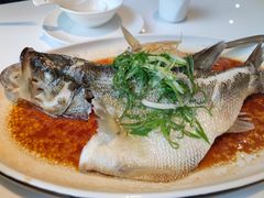 -至潮餐厅精致粤菜·活鲈鱼·走地鸡(珠江新城店)