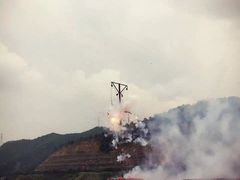 -悦城龙母祖庙