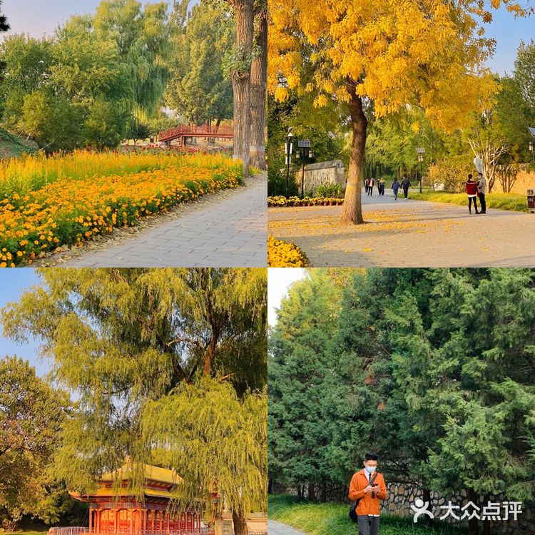 北京｜圆明园游览攻略❗️附地图，详细路线❗️