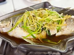 -Ob Aroi Town In Town (Not Ob Aroi franchise)