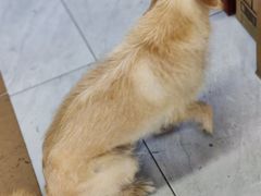 -江妈面馆(夷陵路店)