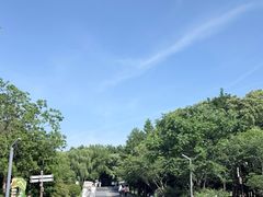 -同里国家湿地公园
